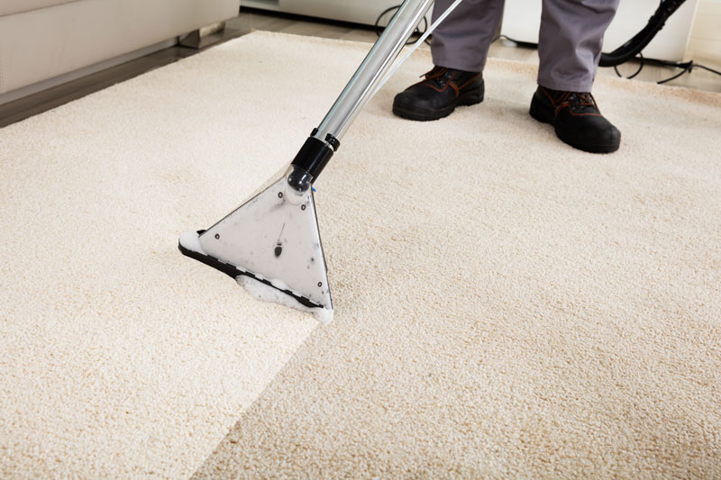 carpet-cleaning-service-bedford-cleaning